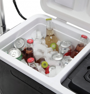Cruzin Cooler Sport X - MADNESS Edition 